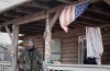 winters bone movie.jpg